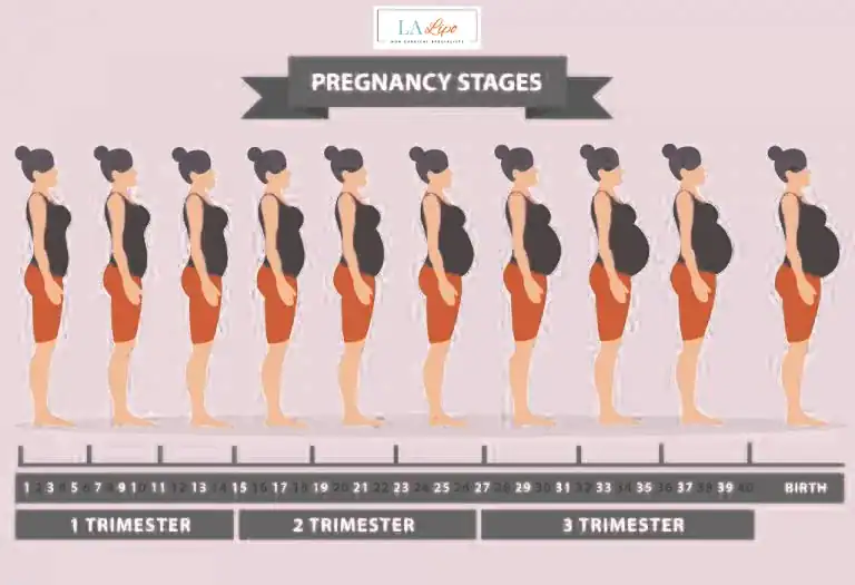 First Trimester (Weeks 1–12): Early Changes You Might Not Notice Oxfordshire